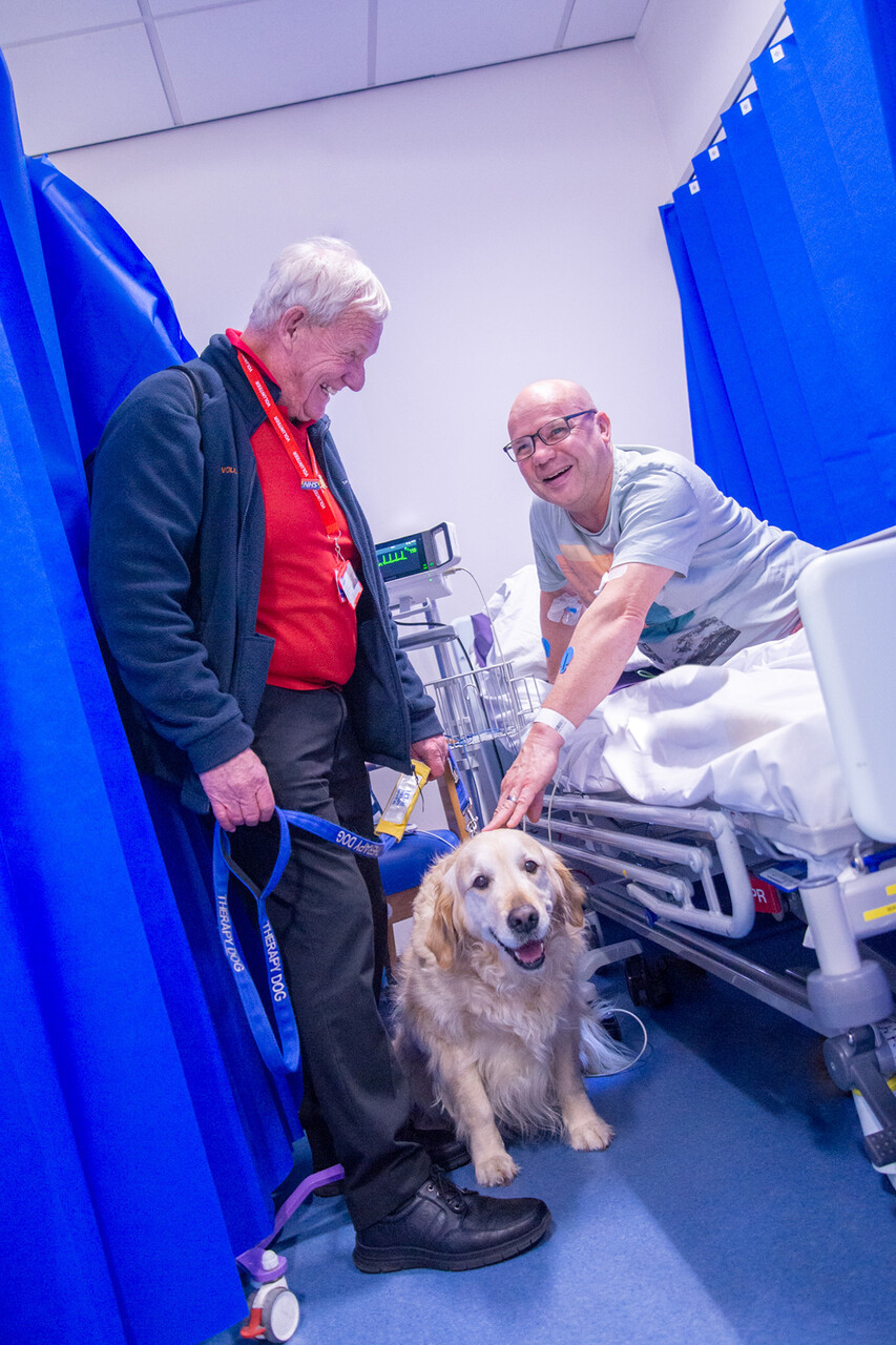 Rosie the therapy dog with a patient in A&E.