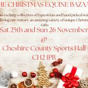 The Christmas Equine Bazaar will hope to raise funds for two vital charities.