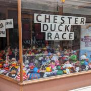 The annual Chester Duck Race sees scores of charity ducks take to the River Dee on Saturday, April 20.