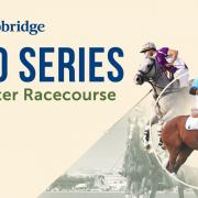 The Deepbridge Polo Series will be returning to Chester Racecourse this weekend.