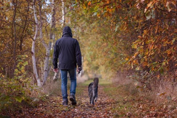 The rules in place for dog owners taking their pets to public spaces in the borough