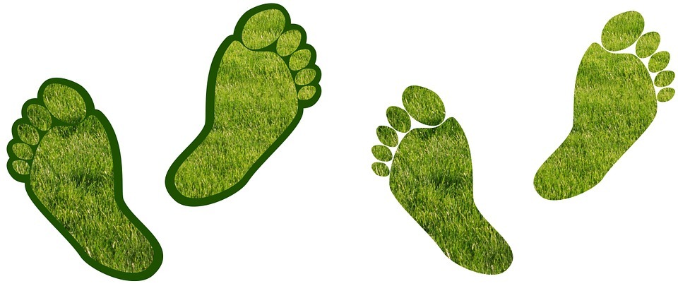 Ten simple ways you can reduce your carbon footprint - The Chester Standard