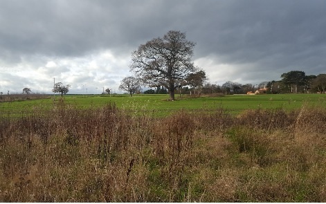 Elan Homes wants to develop an area of land west of Kinnerton Meadows in Higher Kinnerton. Source: Elan Homes