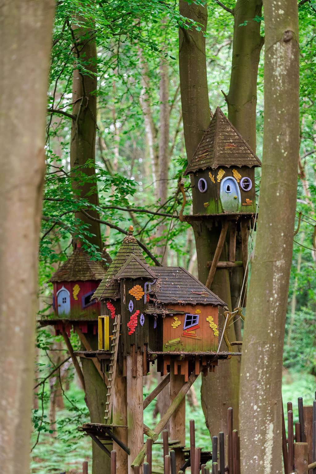 A new BeWILDerwood adventure park is set to open in Cheshire.
