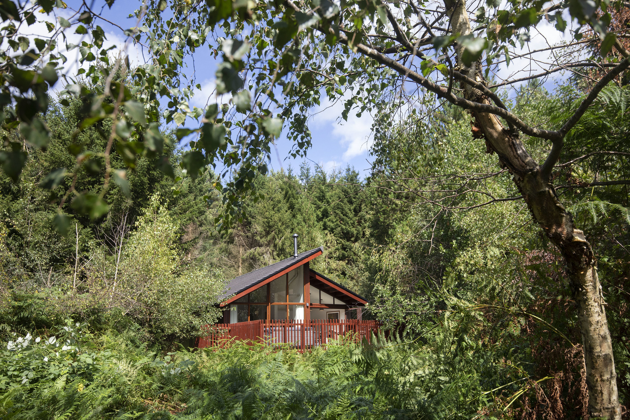 The White Willow Premium Cabin at Delamere Forest by Forest Holidays.