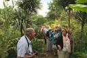 Michael Trevor Barnston with tour group near tropical palms.
