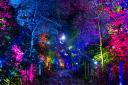BeWILDerwood Cheshire - Glorious Glowing Lantern Parade