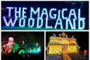 The Magical Woodland is open until December 24