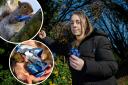 Fiona Downes, 33, Sales Assistant from Ellesmere Port, is a resident on the estate and has been finding chocolate bars in the leaves.