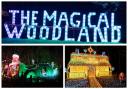 The Magical Woodland is open until December 24