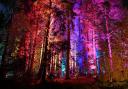Electric Forest – Christmas at Delamere Forest by Richard Haughton for Sony Music 2021