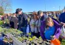 A Plant Hunters' Fair at Ness Gardens