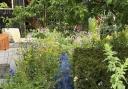 The RSPCA Chelsea garden