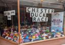 The annual Chester Duck Race sees scores of charity ducks take to the River Dee on Saturday, April 20.