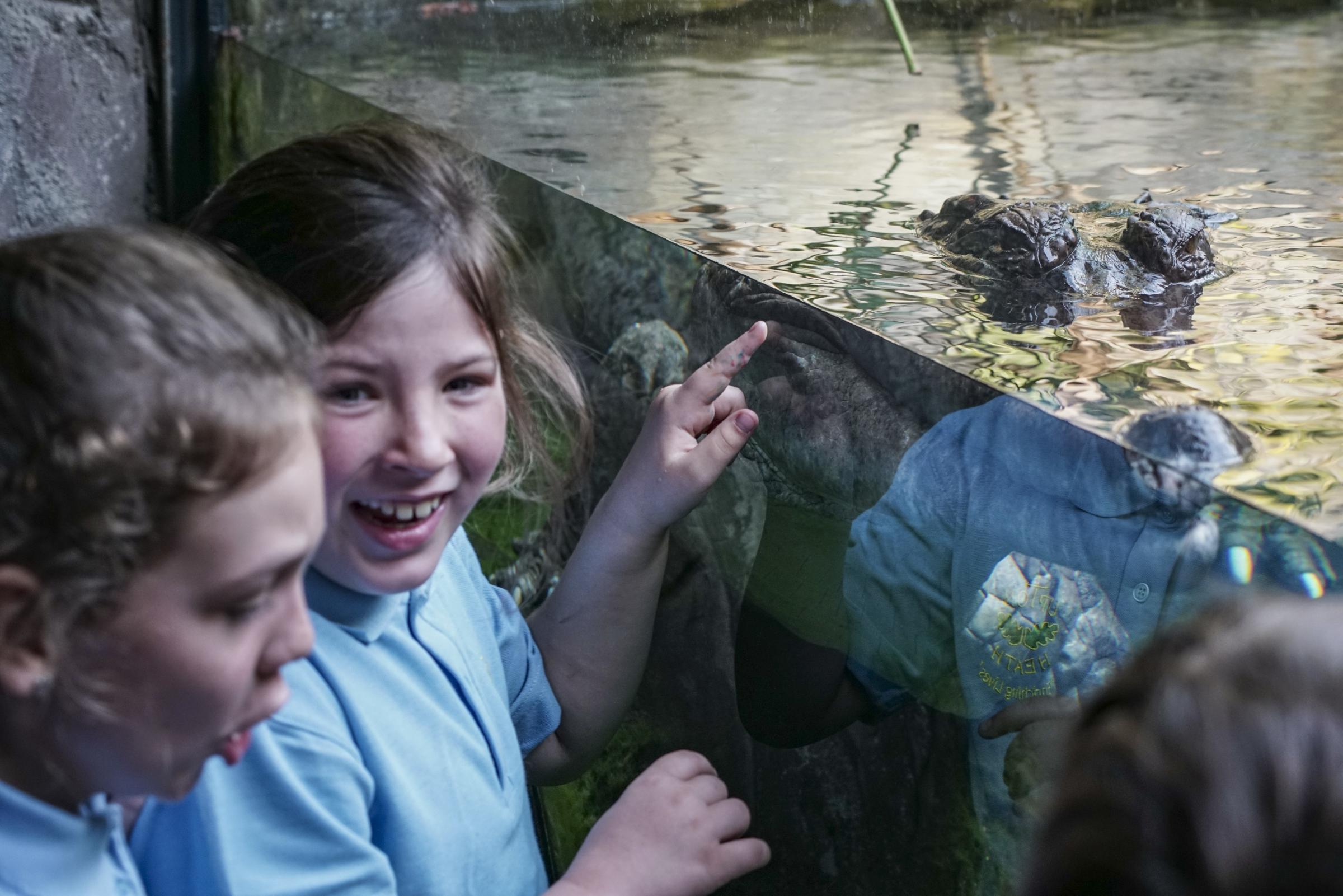 The Duke of Westminster visited Chester Zoo with local schoolchildren. Picture: Victor Pennington