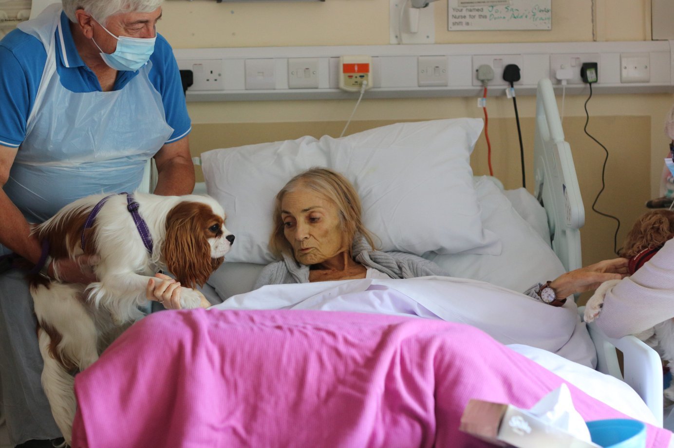 Hospice of the Good Shepherd patient Jan Holman was able to see her King Charles spaniels and her horse one more time.