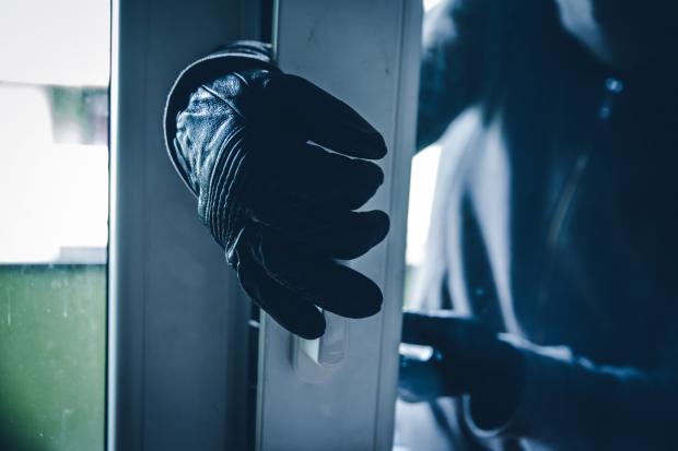 Police warn against 'career thieves' who target homes with open doors and windows