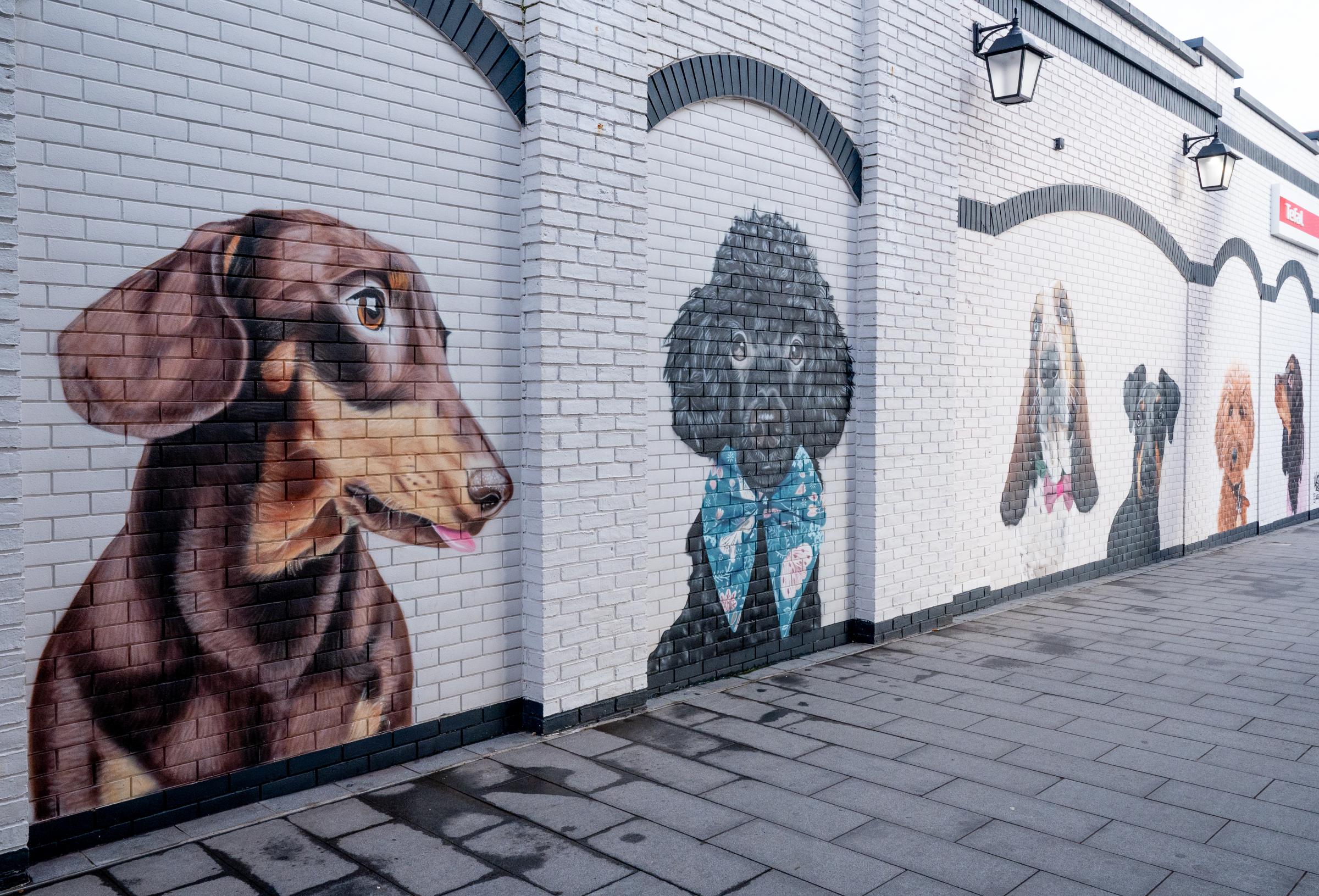 The new puppy mural at Cheshire Oaks.