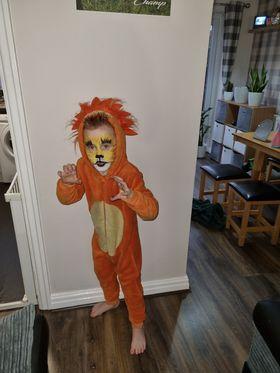 Chester and District Standard: Kian, aged 6, as 'The Lion who Couldn't Roar'