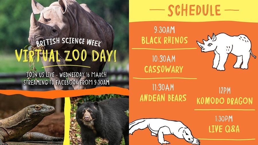 Chester Zoo will host a Virtual Zoo Day to celebrate British Science Week.
