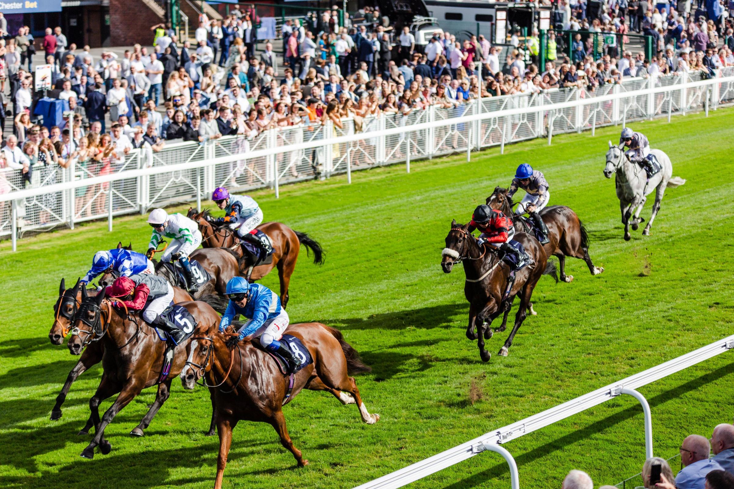 The May Festival will be the first May meeting with crowds at Chester Racecourse since 2019.