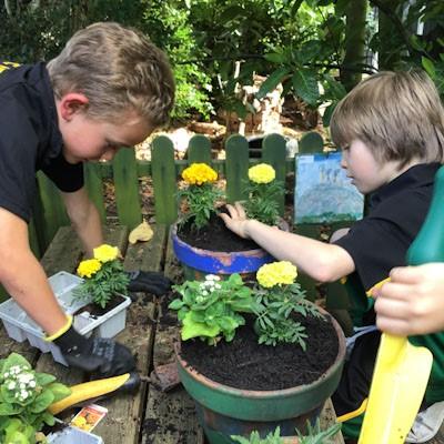 Chester and District Standard: Children at The Firs Gardening Club get to grips with planting.