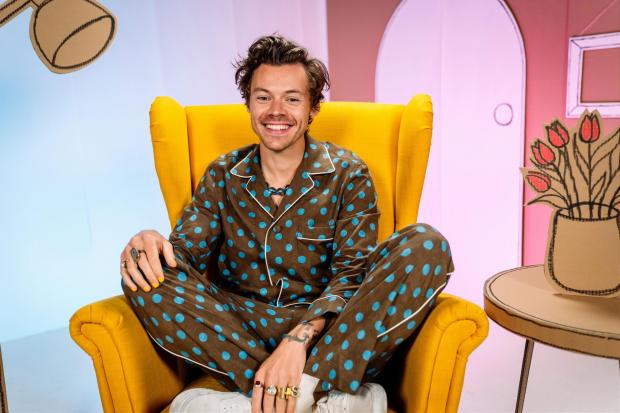 Chester and District Standard:  Harry Styles, 28, who will read Jess Hitchman's In Every House, On Every Street, which is illustrated by Lili la Baleine, on Monday evening. Credit: BBC/ PA