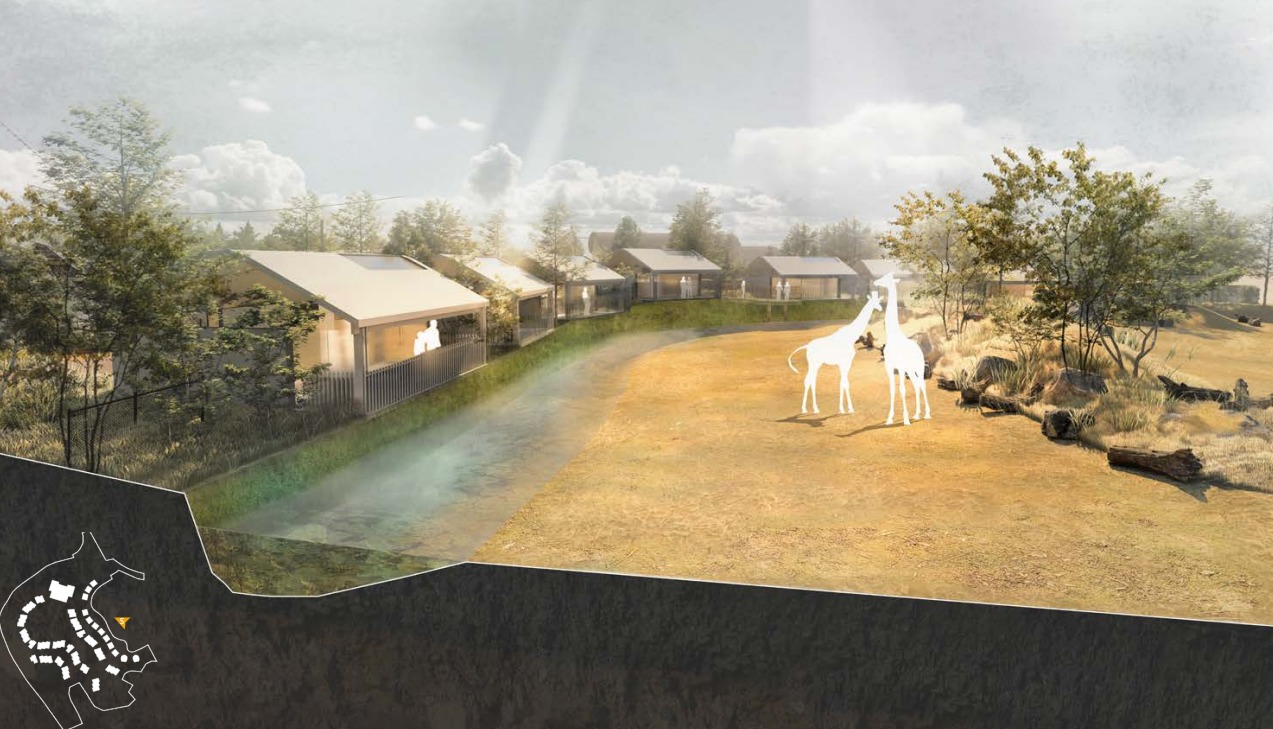 Some of the lodges proposed for Chester Zoo would overlook the new giraffe enclosure. Source: Planning document.