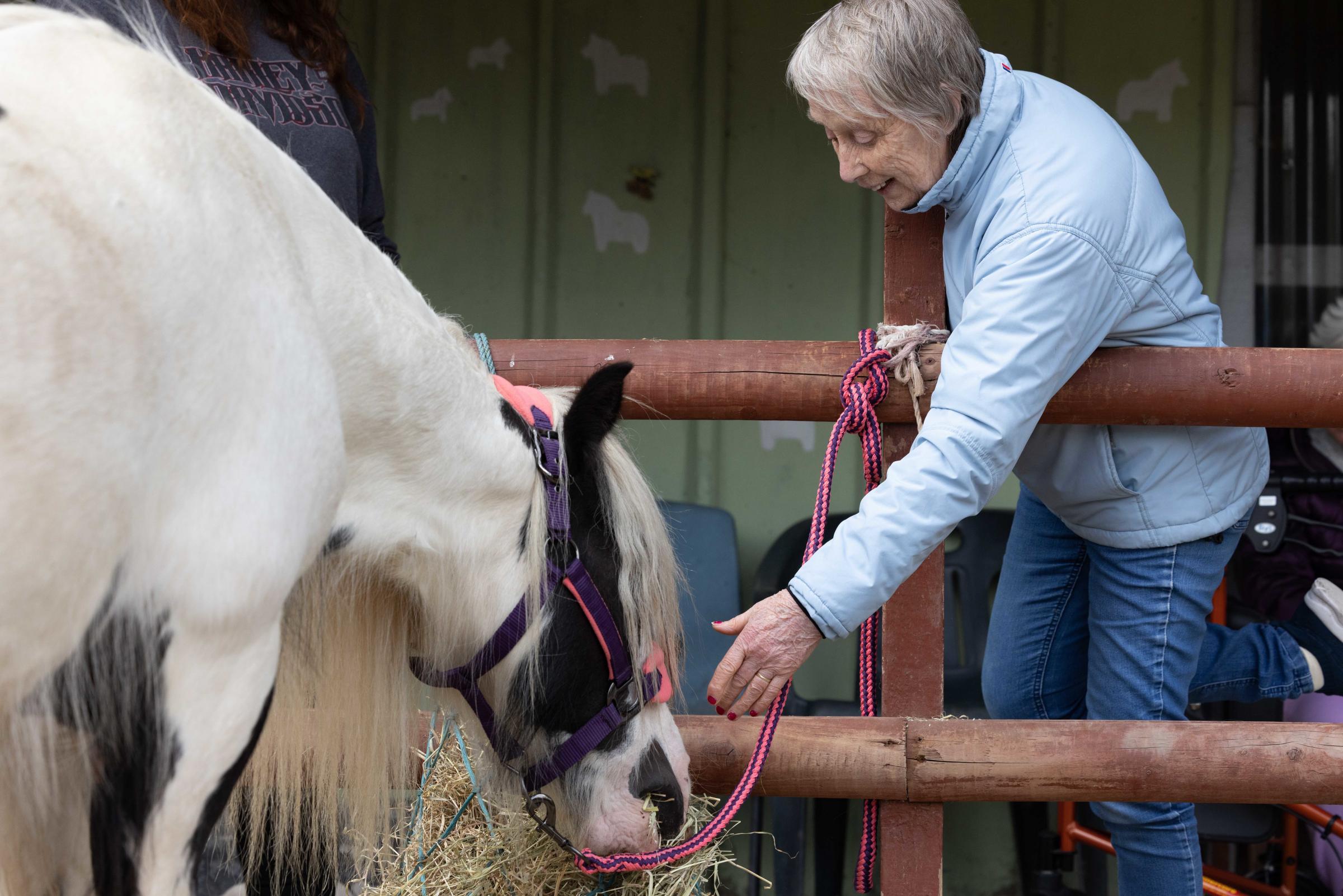 Deewater Grange care home residents visit Spirit of the Herd Sanctuary, Frodsham. Resident Diana Hughes.
