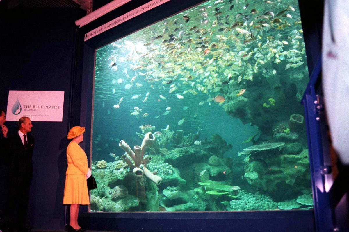 Down the road in Ellesmere Port, the Queen and the Duke of Edinburgh open the Blue Planet Aquarium in 1998.