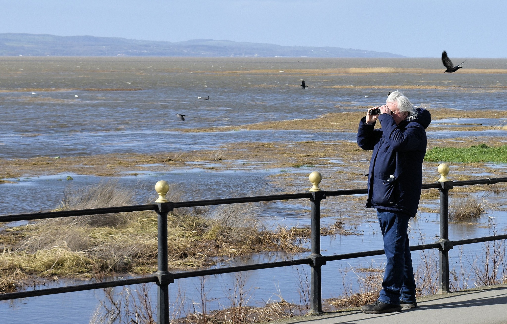 Pictures captured of high tide in Parkgate and Little Neston | Chester and District Standard - Vimarsana News