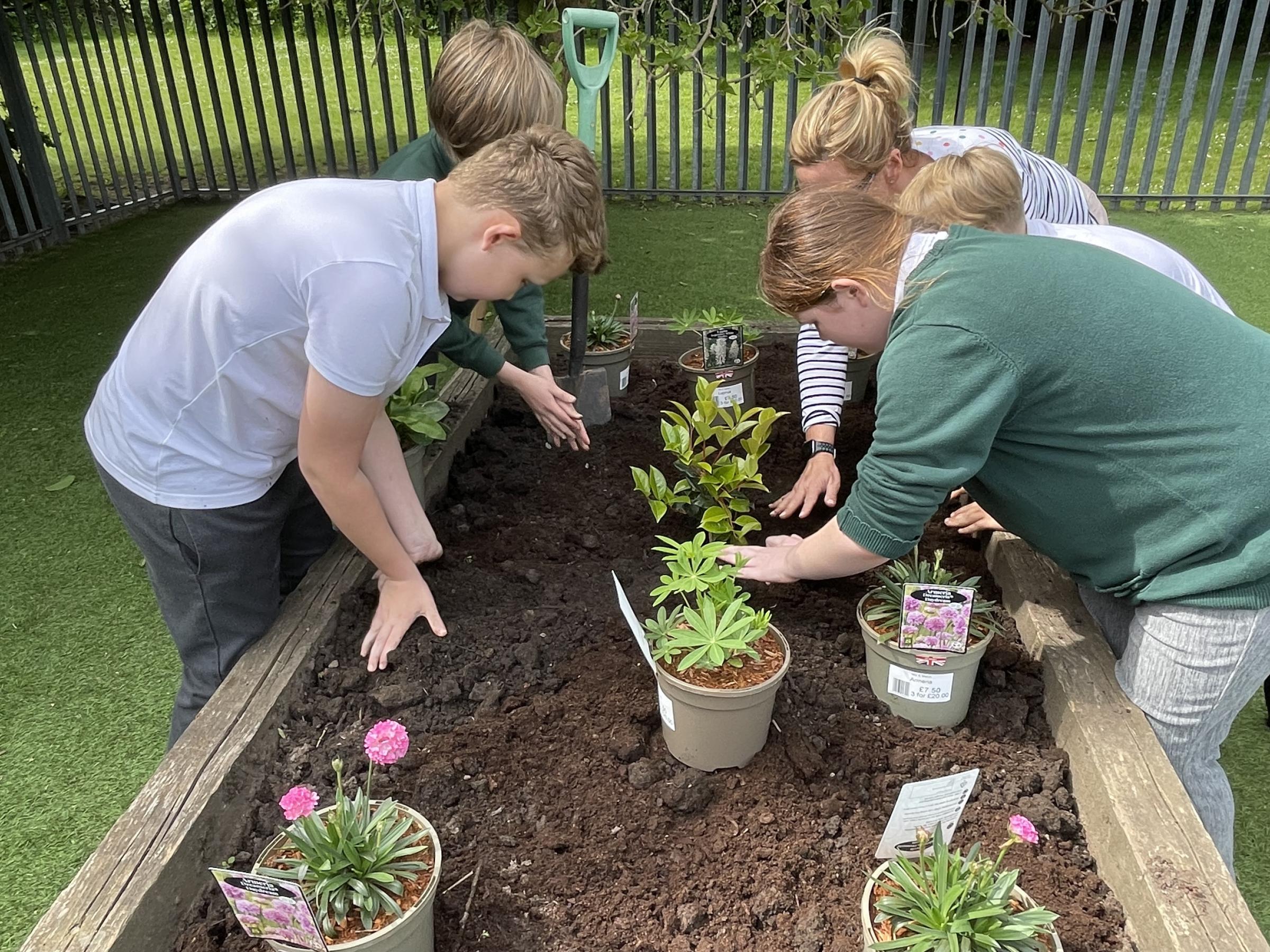 Woodlands Primary School pupils get involved in the planting.