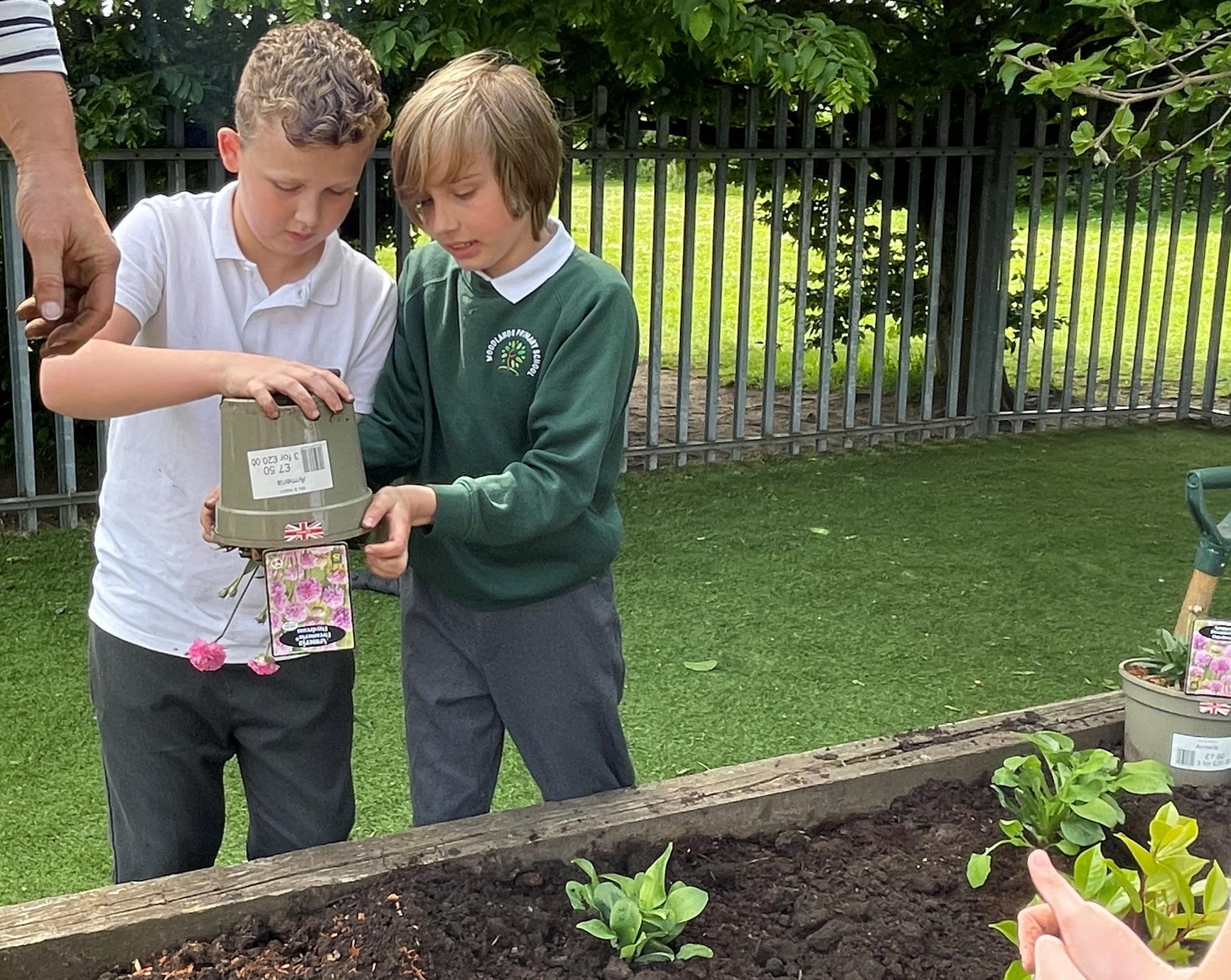 Woodlands Primary School pupils get involved in the planting.