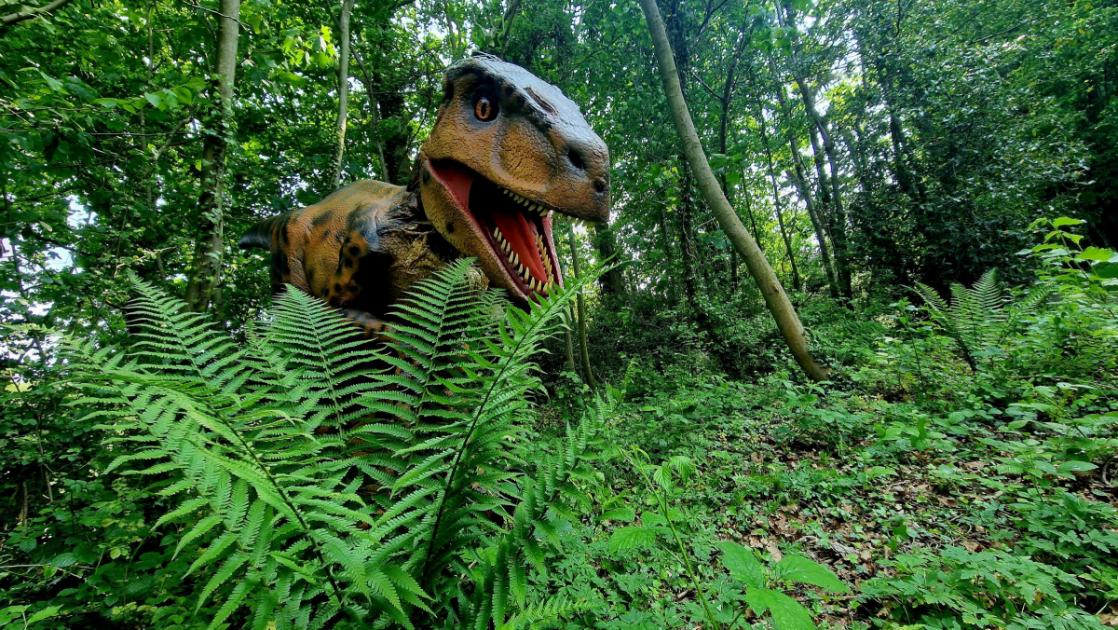 تشيستر: ستجري مغامرة ديناصور في العقار هذا الصيف