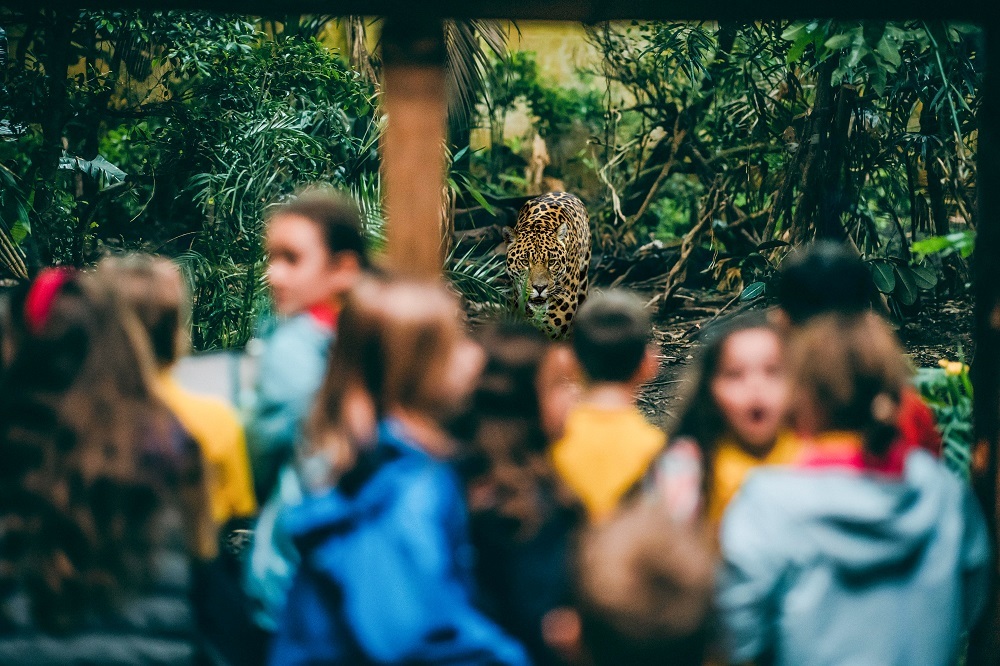 Chester Zoo has been awarded a major grant from the Westminster Foundation to help young people in the Chester area to create a greener future.