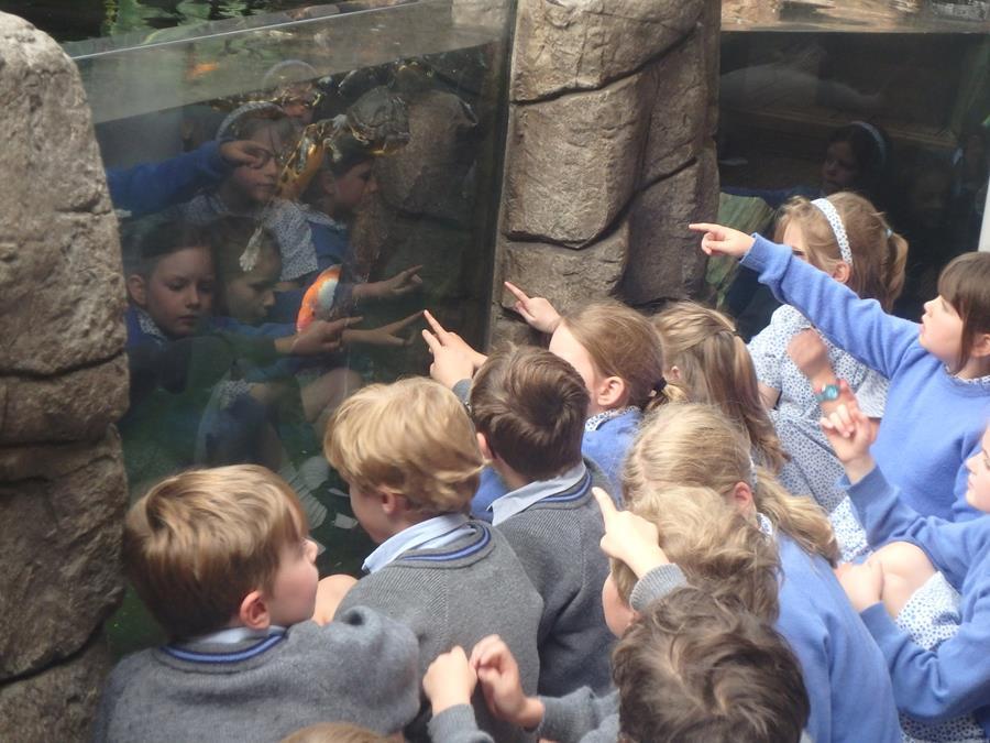 Schoolchildren looking at the Northern Streams Exhibit.