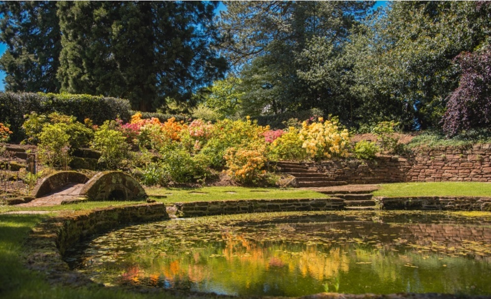 Cheshire's secret gardens open to the public this summer - Vimarsana News