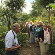 Michael Trevor Barnston with tour group near tropical palms.