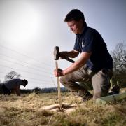 A member of The Mersey Forest Team on planting day.