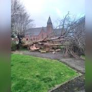 The fallen tree has damaged the cenotaph outside Christ Church, Ellesmere Port. Picture by Leigh & Company Stationers.