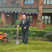 Lord Mayor Cllr Martyn Delaney with the new Jubilee tree