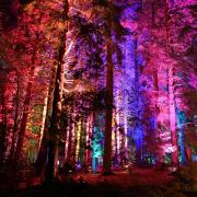 Electric Forest – Christmas at Delamere Forest by Richard Haughton for Sony Music 2021