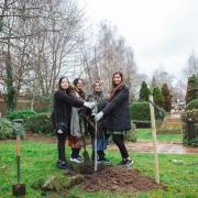 The community orchard planting event at Queen's Park, the home of the University of Chester's Business School, during the Festival of Professional Futures earlier this year.
