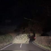 A fallen tree blocked traffic on Rake Lane last night. (Image:Adam Dandy via X)