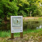 A 'Cheshire's Wonderful Wildlife' poster on display at Tatton Hall.