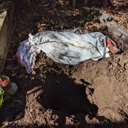 The 13-year-old cat, Zippy, had been buried in a shallow grave at another address.