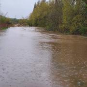 Lower paths at the Countess of Chester Country Park have been submerged.