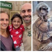 From left, Melissa Mews and husband Ben with daughter Sapphira, as playful meerkat kept visitors entertained at an open day