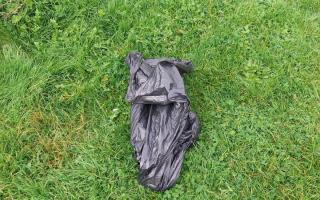 A dead puppy has been found in a black bin bag in Chester and the RSPCA is appealing for information