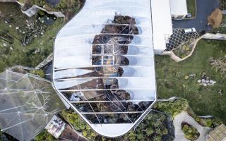 Dramatic aerial view of the fire damaged enclosure at Chester Zoo, following a blaze on Saturday (15/12).  December 19 2018.  See SWNS story SWMDzoo.  Chester Zoo has released details of the animals killed in Saturday's devastating blaze.  Breeds incl